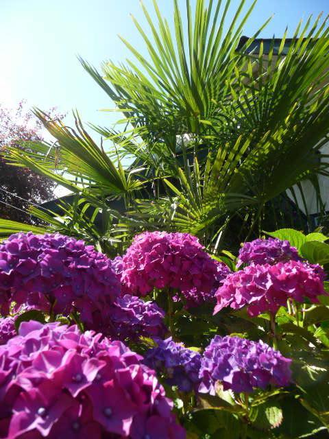 Bed and Breakfast Magnolia Petal Fernwood Exterior foto